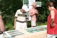 IMG_5674-Large