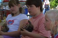 IMG_2922-Large